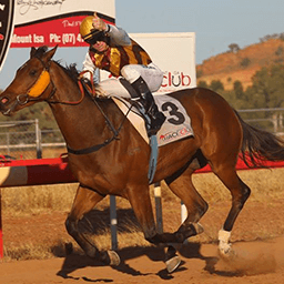 Dan Ballard, Mt Isa